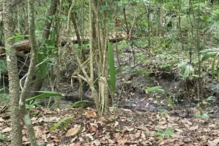 3519 NW 30th Blvd, Gainesville, FL 32605 - Photo 56