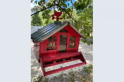 6015 Quail Street, Melrose, FL 32666 - Photo 24