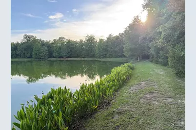 4752 NW 80th Road, Gainesville, FL 32653 - Photo 6
