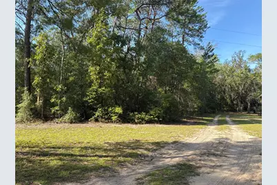109 Greenwood Road, Florahome, FL 32140 - Photo 4