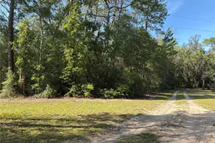 109 Greenwood Rd, Florahome, FL 32140 - Photo 4