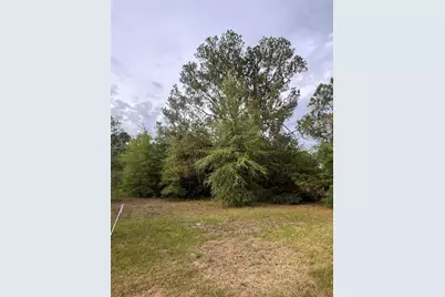 Avenue G, Mc Intosh, FL 32664 - Photo 2