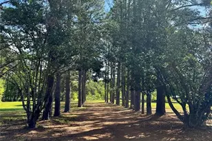 7222 NW 205 Terrace, Alachua, FL 32615 - Photo 34