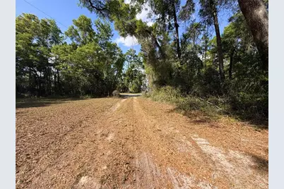 3450 NW 110th Street, Chiefland, FL 32626 - Photo 14