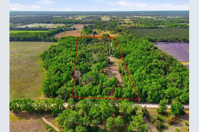 3450 NW 110th Street, Chiefland, FL 32626 - Photo 4