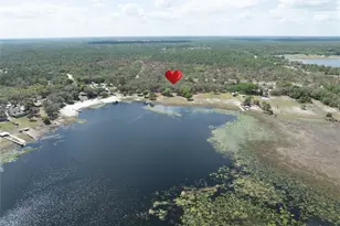 5921 Co Rd 352, Keystone Heights, FL 32656 - Photo 70