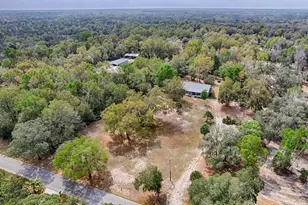 9880 NW 110th St, Chiefland, FL 32626 - Photo 34