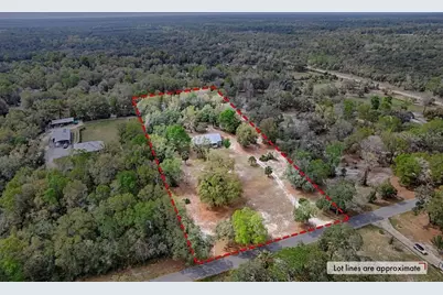 9880 NW 110th Street, Chiefland, FL 32626 - Photo 38