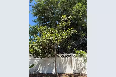 2803 Moonstone Bend, Kissimmee, FL 34758 - Photo 28