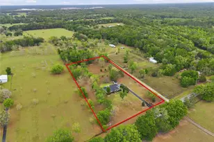 19518 NW 78th Ave, Alachua, FL 32615 - Photo 46