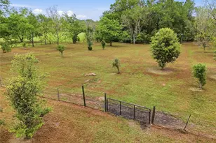 19518 NW 78th Ave, Alachua, FL 32615 - Photo 42