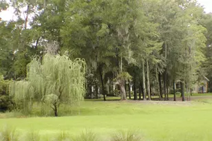 13265 SW 6th Ave, Newberry, FL 32669 - Photo 68