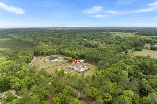 14503 NW 50 Pl, Alachua, FL 32615 - Photo 54