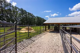 3019 SE 90th Ave, Newberry, FL 32669 - Photo 42