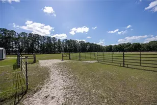 3019 SE 90th Ave, Newberry, FL 32669 - Photo 50