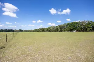3019 SE 90th Ave, Newberry, FL 32669 - Photo 54