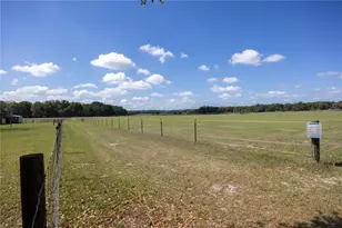 3019 SE 90th Ave, Newberry, FL 32669 - Photo 52