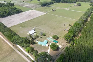 3019 SE 90th Ave, Newberry, FL 32669 - Photo 60