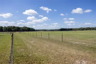 3019 SE 90th Ave, Newberry, FL 32669 - Photo 52