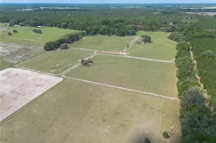 3019 SE 90th Ave, Newberry, FL 32669 - Photo 64