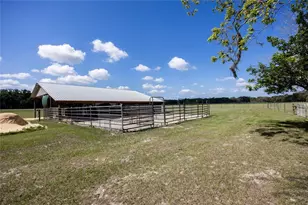 3019 SE 90th Ave, Newberry, FL 32669 - Photo 40