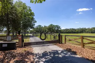 9004 NW 226th St, Alachua, FL 32615 - Photo 2