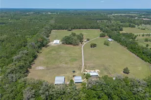 9004 NW 226th St, Alachua, FL 32615 - Photo 86