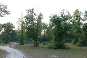 11533 E US 90, Madison, FL 32340 - Photo 38