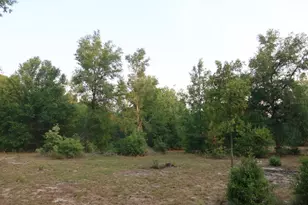 11533 E US 90, Madison, FL 32340 - Photo 36
