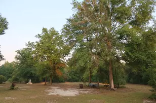 11533 E US 90, Madison, FL 32340 - Photo 34