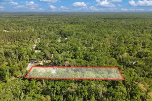[Address not provided], Old Town, FL 32680 - Photo 34