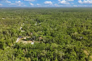 [Address not provided], Old Town, FL 32680 - Photo 38