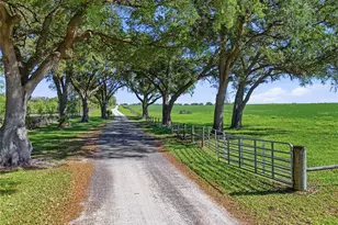 11131 NE 35th St, Bronson, FL 32621 - Photo 2