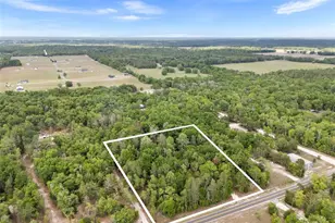 3100 NW 30th St, Bell, FL 32619 - Photo 10