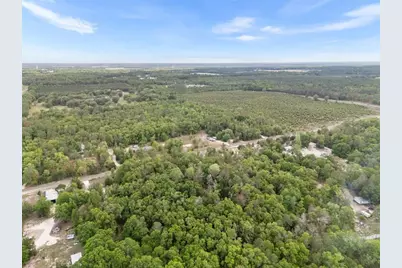 3100 NW 30th Street, Bell, FL 32619 - Photo 14