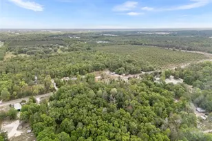 3100 NW 30th St, Bell, FL 32619 - Photo 14