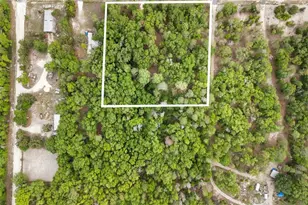 3100 NW 30th St, Bell, FL 32619 - Photo 12