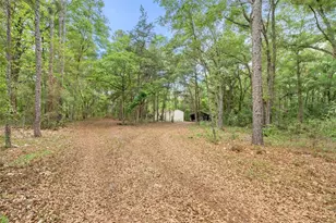 3100 NW 30th St, Bell, FL 32619 - Photo 8