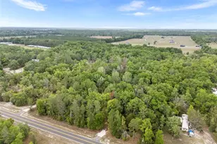 3100 NW 30th St, Bell, FL 32619 - Photo 1