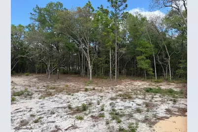 10671 NE 75th Street, Bronson, FL 32621 - Photo 14