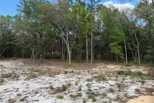 10671 NE 75th St, Bronson, FL 32621 - Photo 14