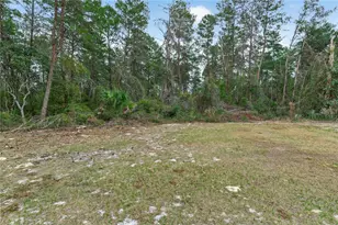 117 Stoddard Rd, Crescent City, FL 32112 - Photo 62