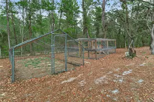 117 Stoddard Rd, Crescent City, FL 32112 - Photo 76