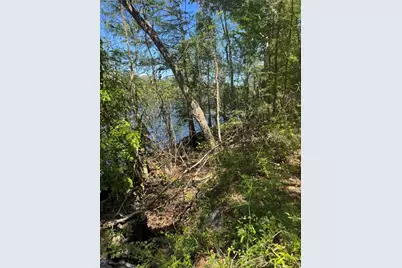 Tbd SW 25 Place, Bell, FL 32619 - Photo 1