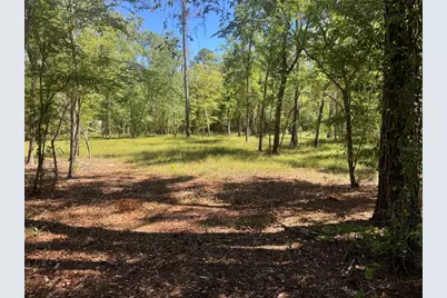 Tbd SW 25 Place, Bell, FL 32619 - Photo 4