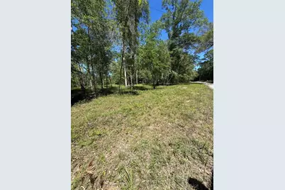 Tbd SW 25 Place, Bell, FL 32619 - Photo 2