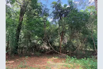 17170 NW 73rd Terrace, Trenton, FL 32693 - Photo 10