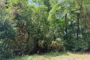 17170 NW 73rd Terrace, Fanning Springs, FL 32693 - Photo 1