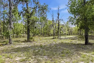 2640 NE 74th Ave, High Springs, FL 32643 - Photo 36