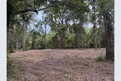 1410 NW 10th Street, Chiefland, FL 32626 - Photo 1